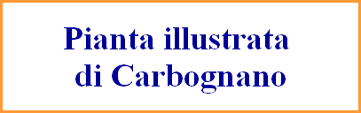 Pianta illustrata 
di Carbognano