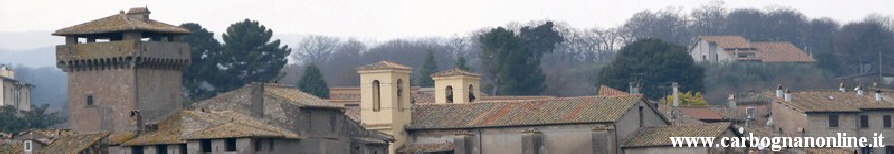 Torri Carbognano